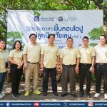 วิริยะประกันภัย เดินหน้าโครงการ ฟื้นคอนโดปู สู่ป่าชายเลน EP.3 เสริมระบบนิเวศยั่งยืน