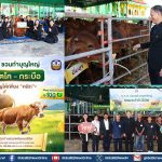 ธ.ก.ส. จัดกิจกรรมบุญใหญ่ส่งท้ายปีผ่านแคมเปญ “ไถ่ชีวิตโค–กระบือ”